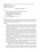 Identidad de la organización