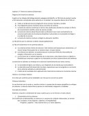 Capítulo 17- Teoría de sistemas (Chiavenato)