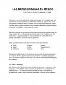 LAS TRIBUS URBANAS EN MEXICO POR: CARLOS DIDIER DOMINGUEZ CONDE