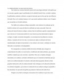 La calidad ambiental: la conservación del entorno