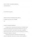 CONTROL Y SEGURIDAD INFORMÁTICA ACTIVIDAD SEMANA 1