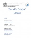 Área Académica de Nutrición Práctica 7