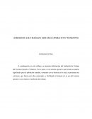 AMBIENTE DE TRABAJO SISTEMA OPERATIVO WINDOWS