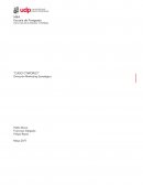 Análisis de segmentación y valor en Cyworld: Estrategias para la competencia en redes sociales