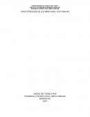 DESARROLLO INFANTIL EN EL MEDIO FAMILIAR