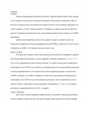 Modelos fisiopatológicos de déficit de atención / hiperactividad (TDAH)