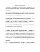 APLICACIÓN DE ESTRATEGIAS