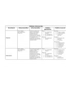 Vértebras Torácicas tipo