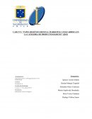 CASO N°1: ‘’PAPEL HIGIÉNICO RENOVA: MARKETING VANGUARDISTA EN LA CATEGORIA DE PRODUCTOS BÁSICOS’’ (2015)
