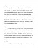 Capítulo 11 Carácter