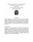 Morfología de IXOPHORUS UNISETUS