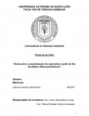 Protocolo de Clase “Extracción y caracterización de quercetina a partir de flor de plátano (Musa paradisiaca)”
