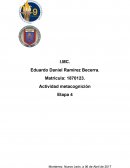 Actividad Metacognicion Metodologia Cientifica Etapa 4