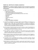 Formato para identificar el problema diagnostico.