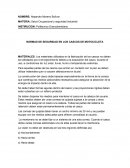 Ergonomia en motos