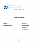 Ingenieria industrial AVION BIPLANO DE MADERA