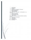 Plan de negocio CAPACIDADES (FORTALEZAS) Y OPORTUNIDADES DE LA POBLACIÓN