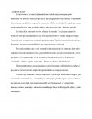 La motivación es el motor fundamental en la vida de cada persona para poder materializar los anhelos o sueños, ya que esta es una energía positiva que fortalece el entusiasmo del ser humano
