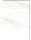 Debe poseer un mínimo de dos socios y un máximo de 50; lo cual observamos que también cumplimos con el requisito del mínimo de dos socios.L