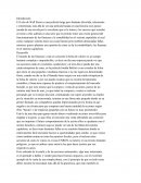 Ensayo Lobo de Wall Street