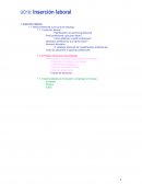 Insercion laboral: Perfil profesional e procura de emprego