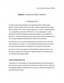 ENSAYO: PAISES DEL MEDIO ORIENTE INTRODUCCIÓN