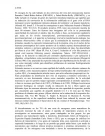 Teoria segmental C Fos. Página 1