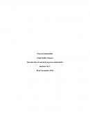 Procesos Industriales Introducción al control de procesos industriales