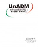 LOGROS DE LA ACTIVIDAD