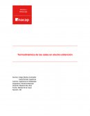 Termodinámica de las sales en electro-obtención