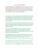 DEFINICIÓN DE MEDIO AMBIENTE. espejismo