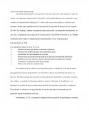 ¿Qué es un tratado internacional?