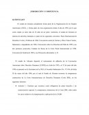 JURISDICCIÓN Y COMPETENCIA RATIONE LOCI