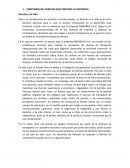 CONTENIDO DEL DERECHO QUE CONTIENE LA SENTENCIA