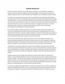 Sistema musculo esqueletico.