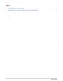 ANALISIS DE “KEY ISSUES” EN LA CADENA DE SUMINISTRO