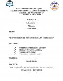 Importación de accesorios para celulares