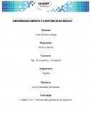 ALGEBRA Actividad: Unidad 3 Act. 7 Resolviendo problemas de transporte