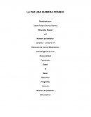 La paz una quimera posible LA PAZ UNA QUIMERA POSIBLE