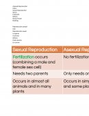 Asexual Reproduction