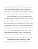 TEMA SOBRE ESPAÑA-PORTUGAL EN AMERICA