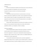 INTRODUCCION A LA ADMINISTRACION Teoria de las contingencias