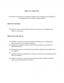 Propuesta de investigación - motivación