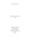 El lenguaje es un sistema, método o la forma por la cual es posible la comunicación entre las personas con el fin de transmitir un mensaje claro y conciso a los demás, esto es posible por medio de símbolos, palabras, señales, imágenes etc.