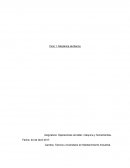 Informe de mecanica de banco