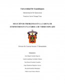 SOLUCIÓN DE PROBLEMAS EN LA CADENA DE SUMINISTROS EN UNA FÁBRICA DE VIDRIO SOPLADO