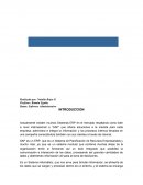 Una introducción al sistema ERP SAP, su definición, beneficios, módulos y un manual básico