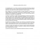 APLICACIONES SOCIALES