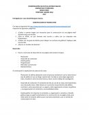 Construcción paginas web