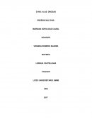 Resumen di no a las drogas